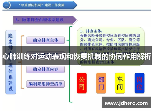 心肺训练对运动表现和恢复机制的协同作用解析